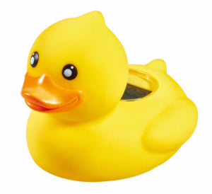 DUCKY Pīlīte